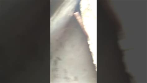 Isang dalagang babae binosohan ng kapitbahay na lalake .